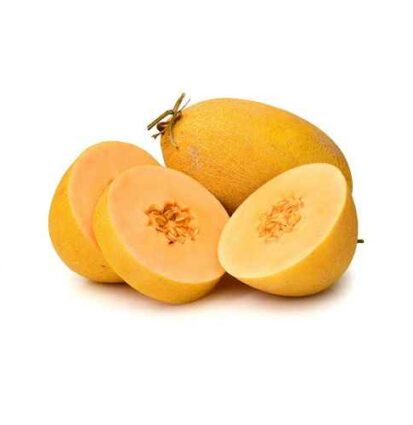 LENA N46 Hybrid Melon