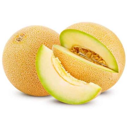 TELMA N45 Hybrid Melon – 1,000 Seeds