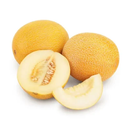 ZELORA n47 hybrid melon seeds